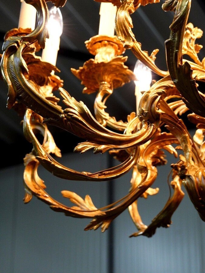 Gilt bronze rococco chandelier